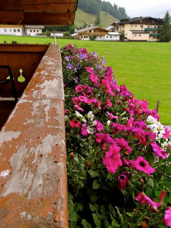 Ski & Bike Pension Maria Saalbach-Hinterglemm Exterior foto
